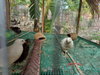 listing thumbnail image 74