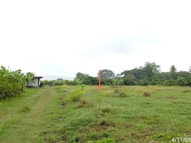 picture HOME 4987 Sq.w. Chalermphrakiet Buri Ram for 5.5M - 6/20