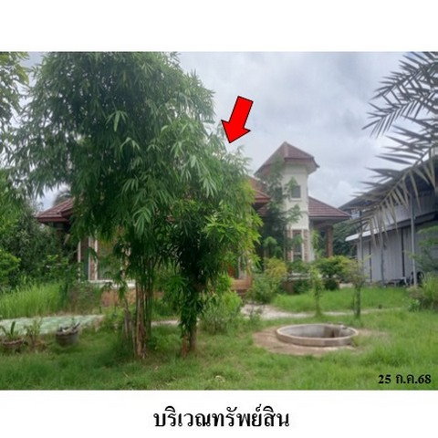 รูป ZHL0671 ขายบ้านเดี่ยว ตำบล บ้านโฮ่ง อำเภอ บ้านโฮ่ง จังหวัด ลำพูน - รูปที่ 4/8