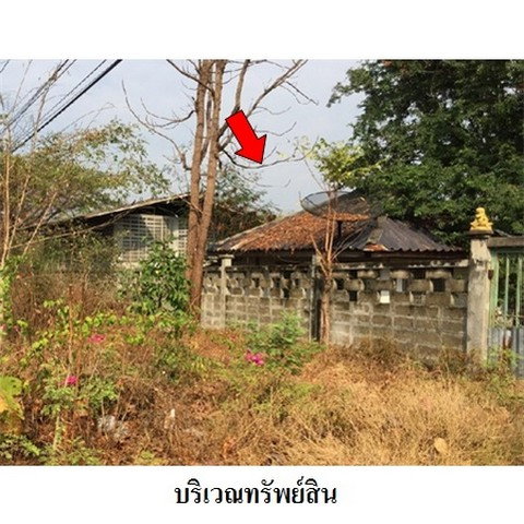 รูป Z3A1012 ขายที่ดิน ตำบล ไม้งาม อำเภอ เมืองตาก จังหวัด ตาก - รูปที่ 8/8