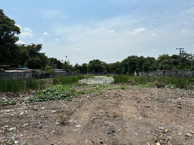 picture FOR RENT LAND PROPERTY 190000 BAHT per MONTH - 1/8