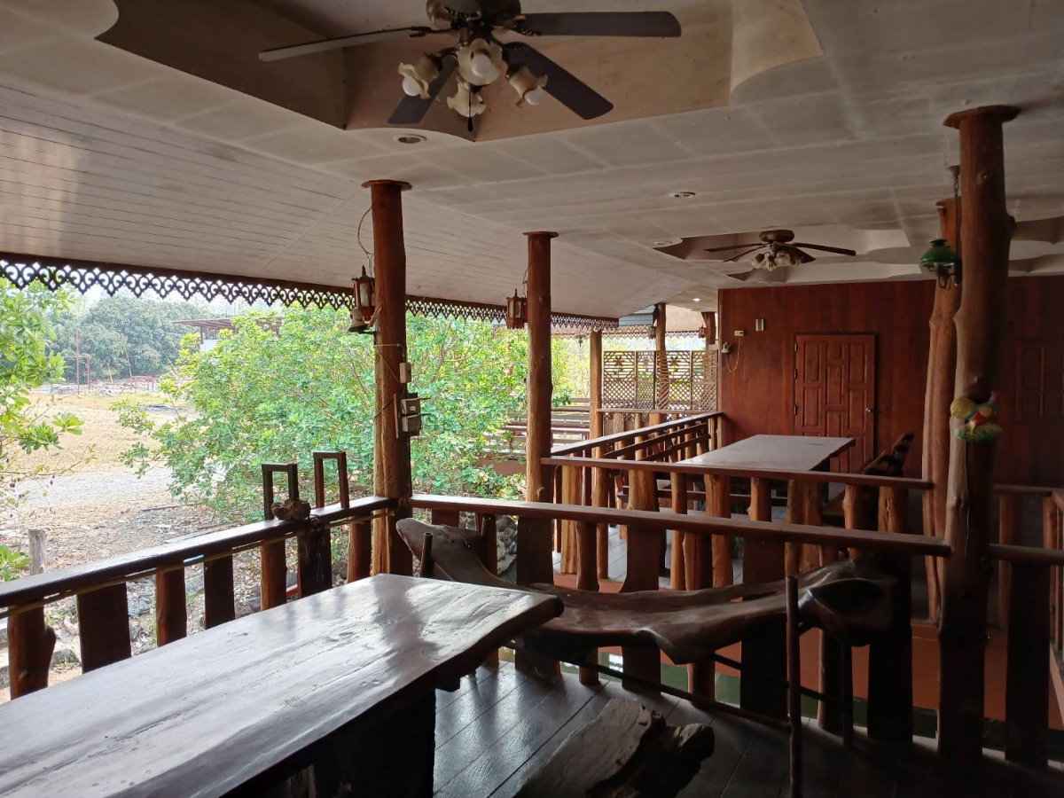 รูป ขายที่ดินพร้อมบ้านและสวนลำไย 14 ไร่ ทำเลดีมาก อ.เมือง จ.ลำพุน - รูปที่ 8/16