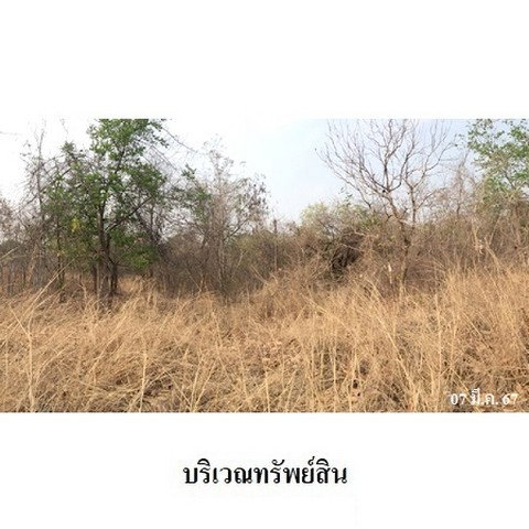 รูป ZLL0030 ขายที่ดินเปล่า ตำบล วังหิน อำเภอ เมืองตาก จังหวัด ตาก - รูปที่ 8/8