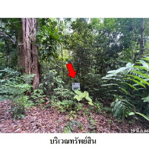 รูป Z1T1120 ขายที่ดินเปล่า โครงการ กระทิง คันทรี รีสอร์ท ตำบล พลวง อำเภอ เขาคิชฌกูฏ จังหวัด จันทบุรี - รูปที่ 3/8