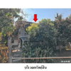 listing thumbnail image 2