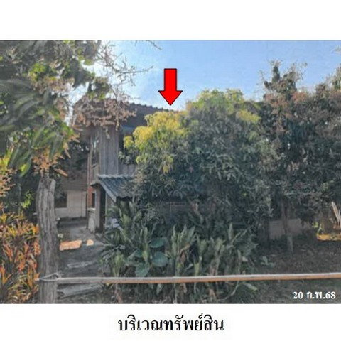 รูป ZHL0485 ขายบ้านเดี่ยว ตำบล ศรีบัวบาน อำเภอ เมืองลำพูน จังหวัด ลำพูน - รูปที่ 3/8