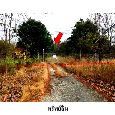 ที่ดิน ตาก : Z3A1012 ขายที่ดิน ตำบล ไม้งาม อำเภอ เมืองตาก จังหวัด ตาก