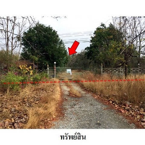 รูป Z3A1012 ขายที่ดิน ตำบล ไม้งาม อำเภอ เมืองตาก จังหวัด ตาก - รูปที่ 1/8