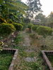 listing thumbnail image 50