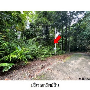 Z1T1120 ขายที่ดินเปล่า โครงการ กระทิง คันทรี รีสอร์ท ตำบล พลวง อำเภอ เขาคิชฌกูฏ จังหวัด จันทบุรี