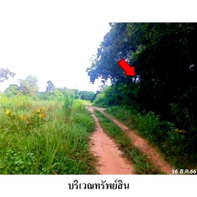 ที่ดิน สระแก้ว : Z2T1321 ขายที่ดินเปล่า ตำบล สระแก้ว อำเภอ เมืองสระแก้ว จังหวัด สระแก้ว
