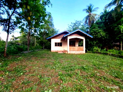 Houses for sale : HOME 176 Sq.w. Khon San Chaiyaphum for 1.6M