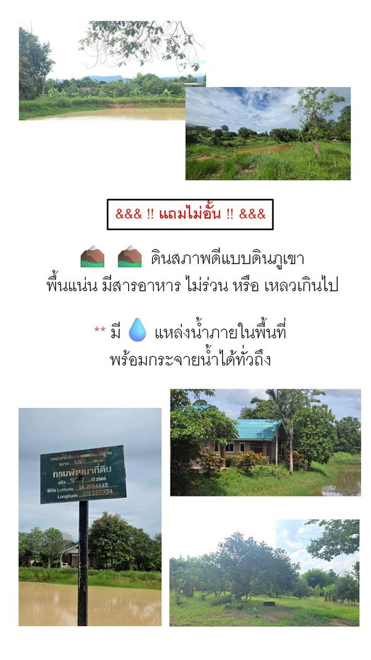 รูป ขายที่ดินพร้อมรีสอร์ท นครนายก 27 ไร่ โฉนดครุฑแดง ติดถนนหลวง ใกล้เขื่อนขุนด่านปราการชล เหมาะลงทุน - รูปที่ 9/15