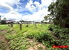 listing thumbnail image 37