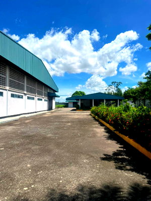 Factory for sale Ban Bueng District Office  : Warehouse and factory for sale in Ban Bueng District, Chonburi, with factory license (R.N.4).
