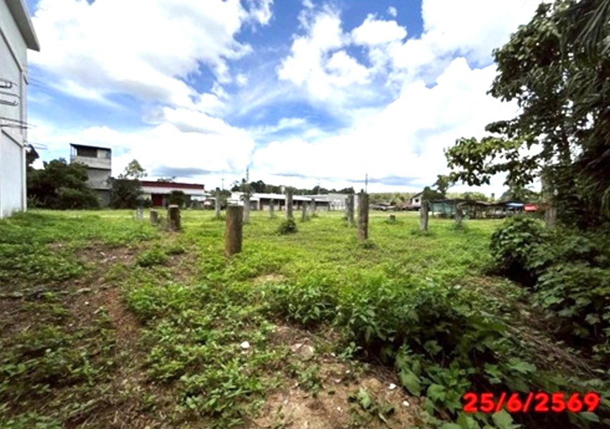 picture SHOP HOUSE 108 Sq.w. Huai Yot Trang for 3.1M - 37/44