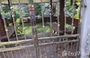 listing thumbnail image 20