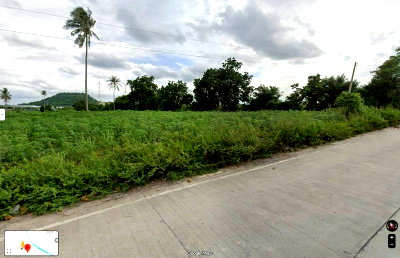 ที่ดิน ศรีราชา ชลบุรี : ขายที่ดินทำเลทอง บ่อวิน ศรีราชา ใจกลางโซนอุตสาหกรรม