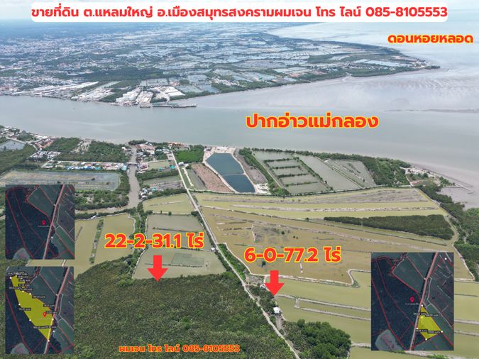 #ขายที่ดินราคาถูกมาก #ขายที่ดินแหลมใหญ่ ที่ดินแม่กลอง เมืองสมุทรสงคราม ใกล้ทะเลอ่าวไทย ใกล้ปากแม่น้ำแม่กลอง อยู่ฝั่งตรงข้ามดอนหอยหลอด