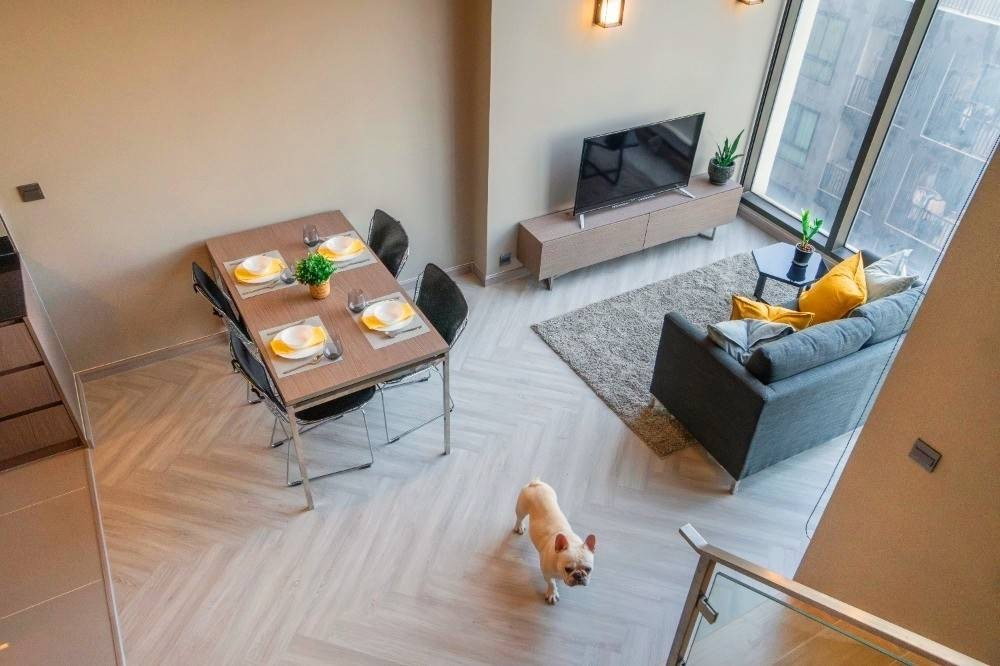 picture 🎈 #PN2402_069🎈💥Urgent💥 Available August 4th, 2026. Click quickly before it's gone‼️ For Rent 40k.🔥 M Chatuchak Condo🐶🐱 Pets allowed. - 8/12