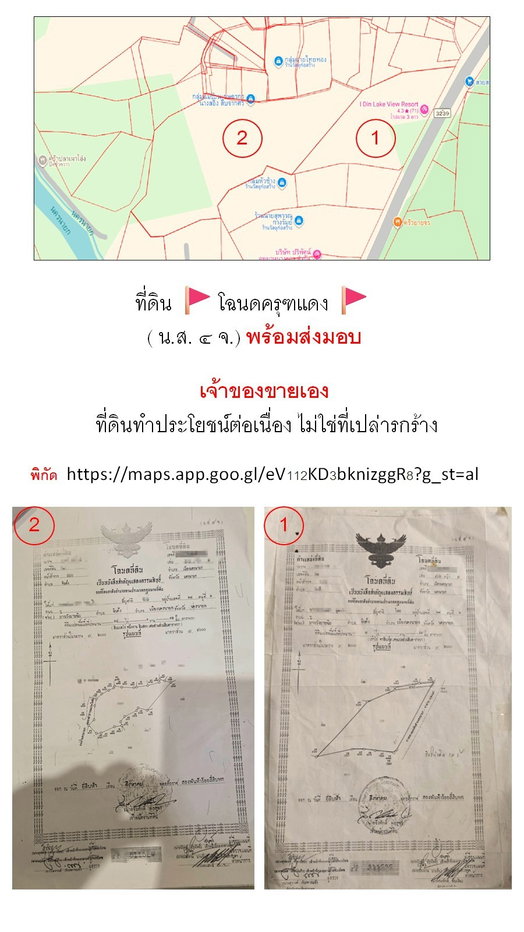 รูป ขายที่ดินพร้อมรีสอร์ท นครนายก 27 ไร่ โฉนดครุฑแดง ติดถนนหลวง ใกล้เขื่อนขุนด่านปราการชล เหมาะลงทุน - รูปที่ 3/15
