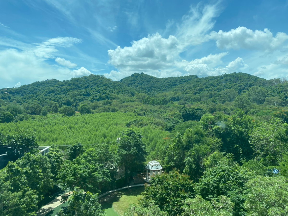 รูป ชั้น 7 ขนาด 35 ตรม.  วิวภูเขา เงียบสงบ เฟอร์นิเจอร์/เครื่องใช้ไฟฟ้าครบ!!! เพียง 10,000 บาท/เดือนเท่านั้น!!! - รูปที่ 11/11