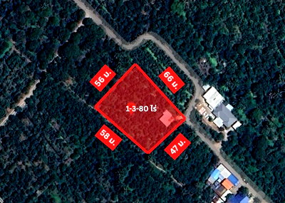 ที่ดิน บางคนที สมุทรสงคราม : ขาย ที่ดินสวน 1-3-80 ไร่ บางสะแก บางคนที สมุทรสงคราม