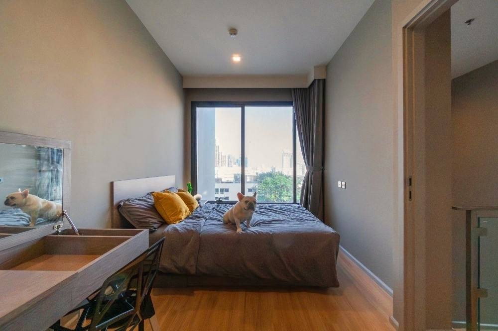 picture 🎈 #PN2402_069🎈💥Urgent💥 Available August 4th, 2026. Click quickly before it's gone‼️ For Rent 40k.🔥 M Chatuchak Condo🐶🐱 Pets allowed. - 5/12