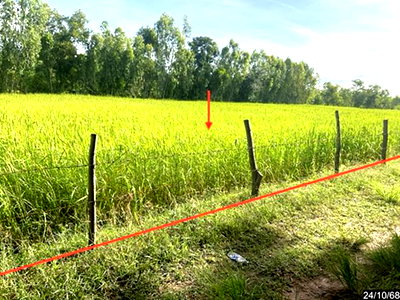 LAND 822 Sq.w. Ban Phai Khon Kaen for 2.1M