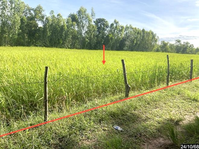 รูป ที่ดินว่างเปล่า 822 ตร.วา บ้านไผ่ ขอนแก่น 2.1M - รูปที่ 1/14