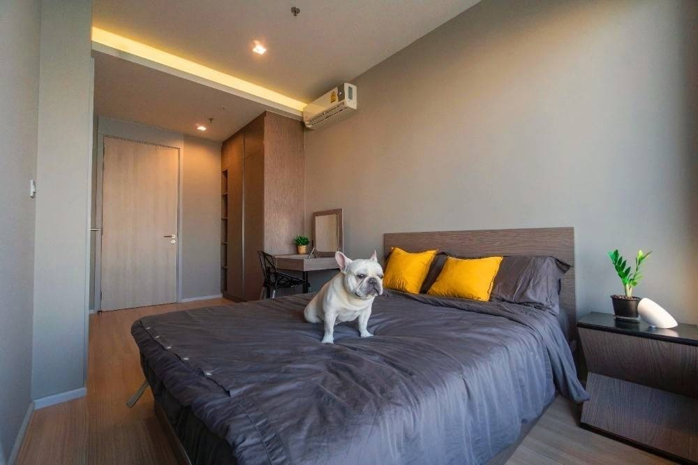 picture 🎈 #PN2402_069🎈💥Urgent💥 Available August 4th, 2026. Click quickly before it's gone‼️ For Rent 40k.🔥 M Chatuchak Condo🐶🐱 Pets allowed. - 6/12