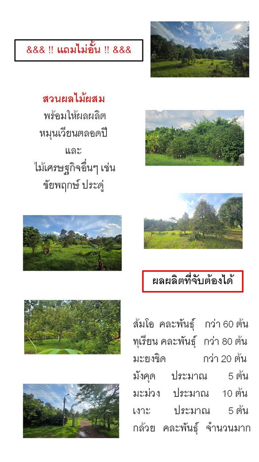 รูป ขายที่ดินพร้อมรีสอร์ท นครนายก 27 ไร่ โฉนดครุฑแดง ติดถนนหลวง ใกล้เขื่อนขุนด่านปราการชล เหมาะลงทุน - รูปที่ 8/15