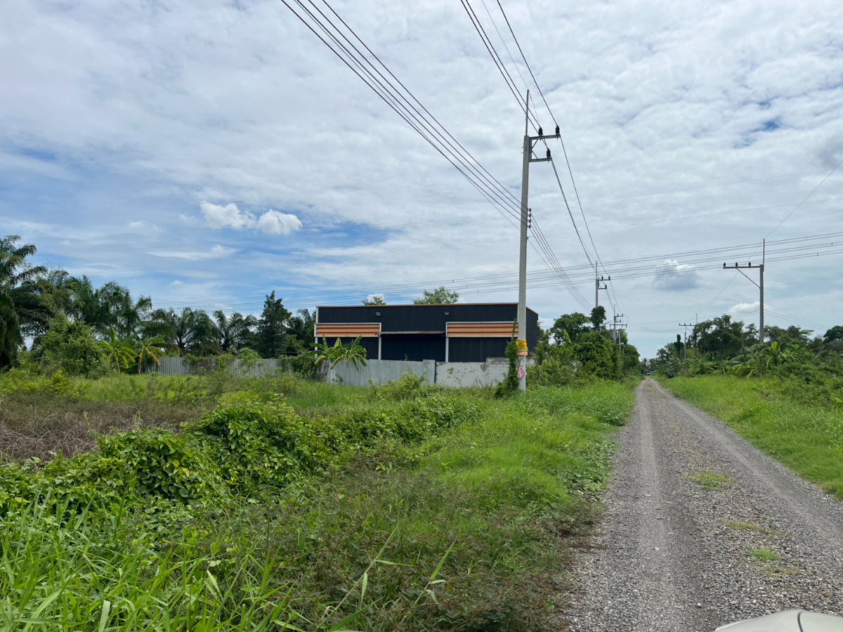 รูป BL148|อาคารโกดัง พร้อมสิ่งปลูกสร้าง ซอยบึงบอน 30/2 ถนนเลียบคลอง 8 ฝั่งตะวันตก ตำบลบึงบอน อำเภอหนองเสือ ปทุมธานี⚡ราคาถูก! 2,300,000 บาท⚡ - รูปที่ 13/17