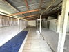 listing thumbnail image 25