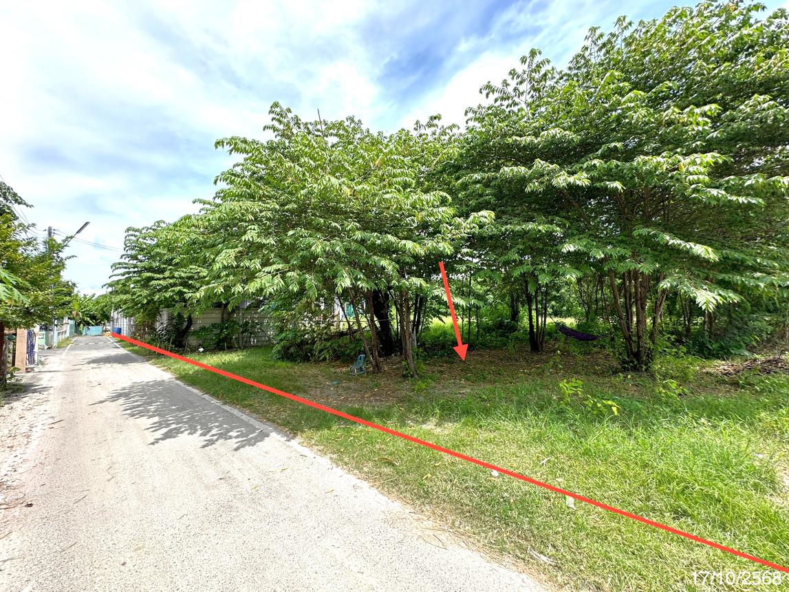 picture HOME 641 Sq.w. Muang Lop Buri Lopburi for 6.3M - 14/18