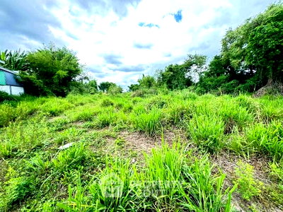 ที่ดิน ม.ฟาร์อีสเทิร์น : ที่ดินขาย ใกล้ถนนคนเดินท่าแพ เชียงใหม่ ช้างม่อย เมืองเชียงใหม่ (ID 3049253)
