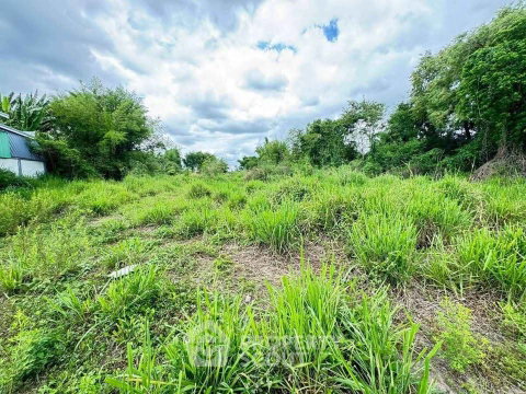 ที่ดินขาย ใกล้ถนนคนเดินท่าแพ เชียงใหม่ ช้างม่อย เมืองเชียงใหม่ (ID 3049253)