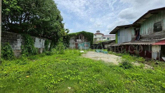 รูป ที่ดิน 125 ตรว. ซอยทวีวัฒนา 43 ถนนบรมราชชนนี ทำเลดี ราคาถูกมาก - รูปที่ 2/14