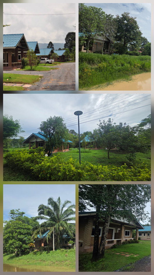 รูป ขายที่ดินพร้อมรีสอร์ท นครนายก 27 ไร่ โฉนดครุฑแดง ติดถนนหลวง ใกล้เขื่อนขุนด่านปราการชล เหมาะลงทุน - รูปที่ 11/15