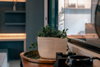 listing thumbnail image 35