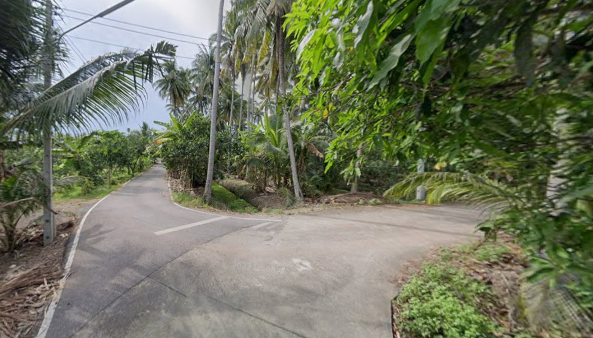 รูป ขาย ที่ดินสวน 1-3-80 ไร่ บางสะแก บางคนที สมุทรสงคราม - รูปที่ 5/12