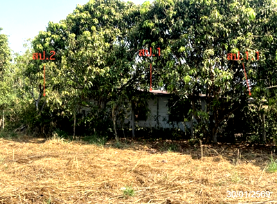 บ้านเดี่ยว ศรีมโหสถ ปราจีนบุรี : บ้านเดี่ยว 221 ตร.วา ศรีมโหสถ ปราจีนบุรี 1.1M