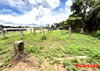 listing thumbnail image 39