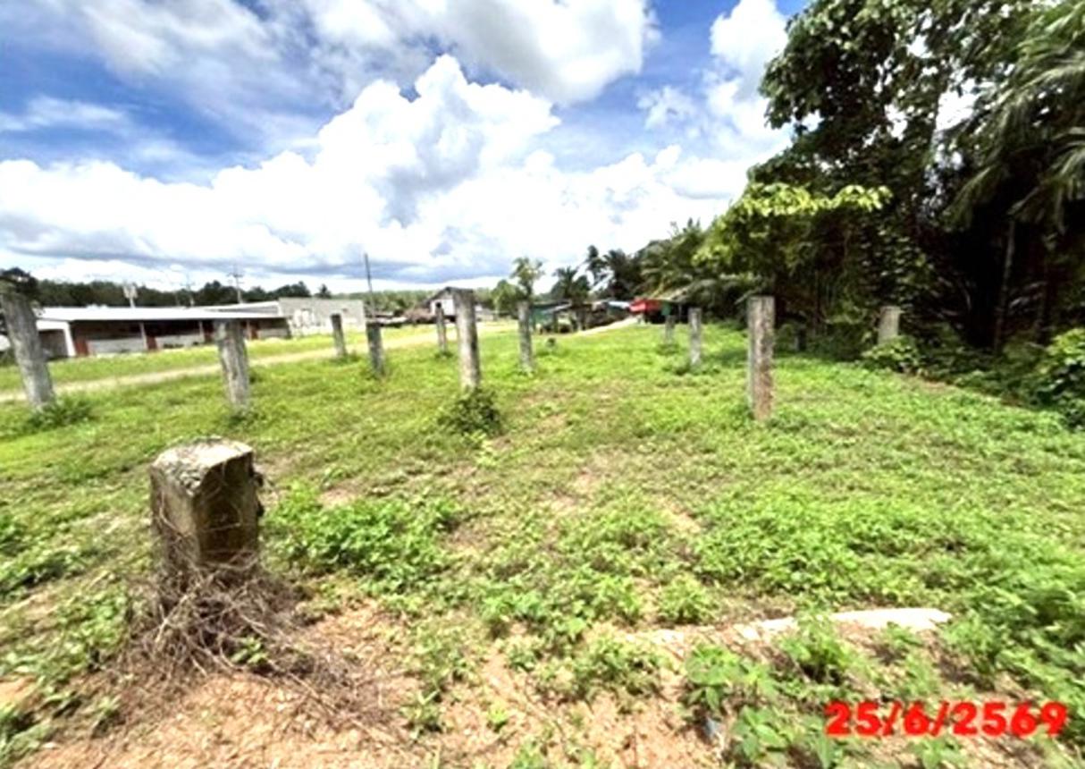 picture SHOP HOUSE 108 Sq.w. Huai Yot Trang for 3.1M - 40/44