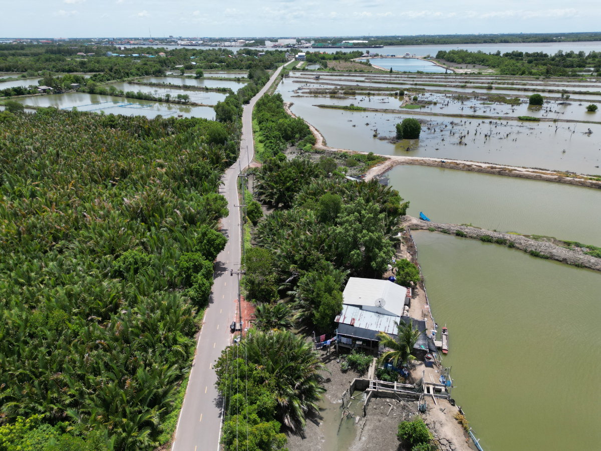 รูป #ขายที่ดินราคาถูกมาก #ขายที่ดินแหลมใหญ่ ที่ดินแม่กลอง เมืองสมุทรสงคราม ใกล้ทะเลอ่าวไทย ใกล้ปากแม่น้ำแม่กลอง อยู่ฝั่งตรงข้ามดอนหอยหลอด - รูปที่ 3/10