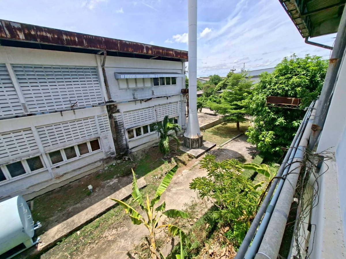 รูป ให้เช่าโกดัง 2 ชั้น บางนาตราด กม.38 ผังสีม่วง พื้นที่เยอะ ใกล้นิคมเวลโกรว์ (N.2219) - รูปที่ 27/27