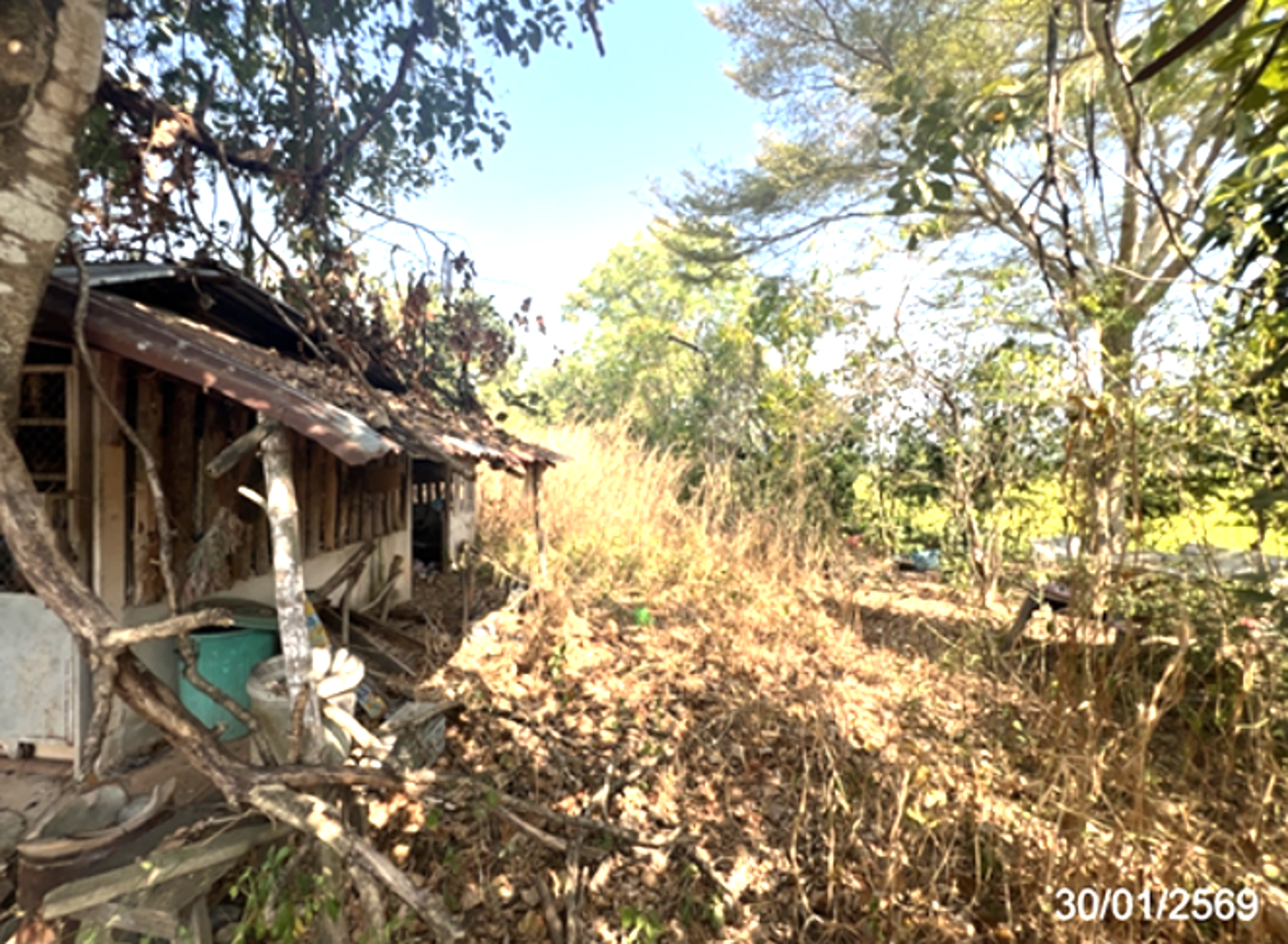 รูป บ้านเดี่ยว 221 ตร.วา ศรีมโหสถ ปราจีนบุรี 1.1M - รูปที่ 9/15