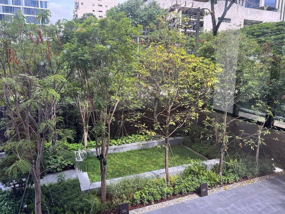 รูป Tonson One Residence | Low floor luxury lover unit !! Come with garden comfortable view #2026062714938 - รูปที่ 13/13