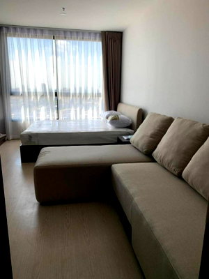 Condos for rent : 🏙️✨ FOR RENT: Elio Del Nest — HIGH-FLOOR MODERN LIVING NEAR BTS UDOM SUK!  💰 Rental Price: 11,000 THB/month | 📲 Line ID: @condobkk (with @)   Floor