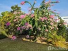 listing thumbnail image 19